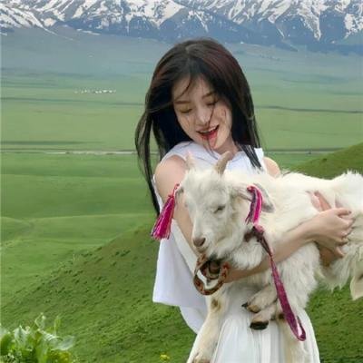 青春烈火